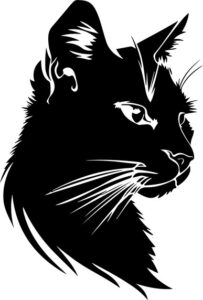 Wild Cat