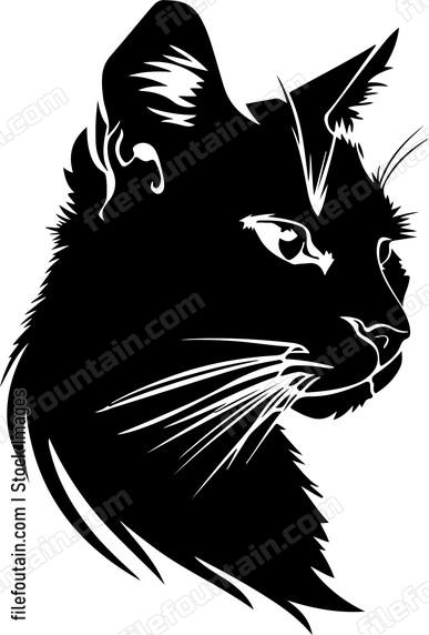 Wild Cat