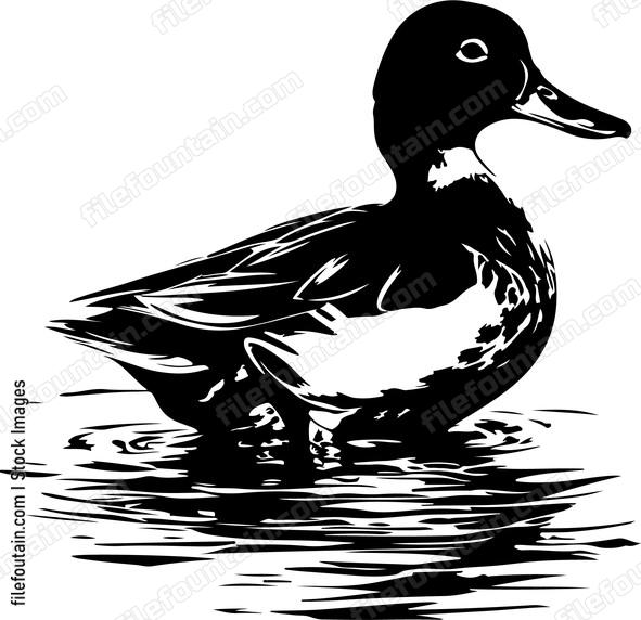 Wild Duck