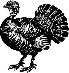 Wild Turkey