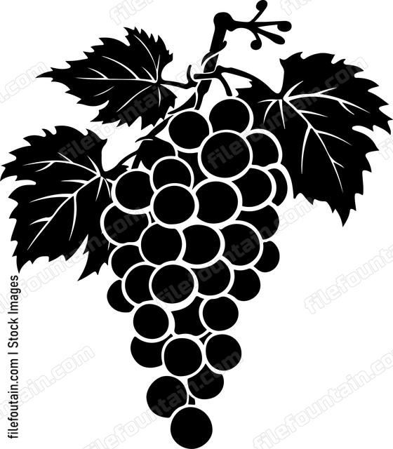 Wine Grapes
