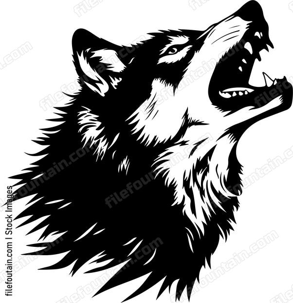 Wolf Roaring