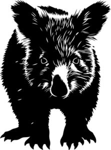 Wombat