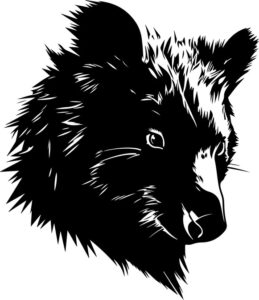 Wombat Head