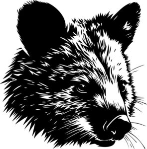 Wombat Head