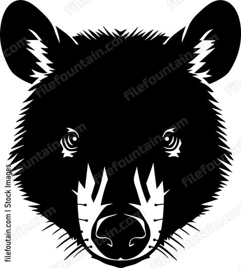 Wombat Head