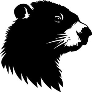 Woodchuck