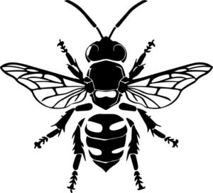Yellow Jacket