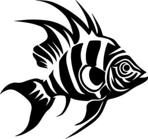 Zebra Danio