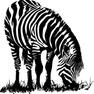 Zebra Grazing
