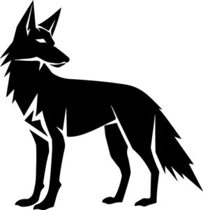 Coyote