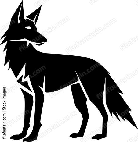 Coyote